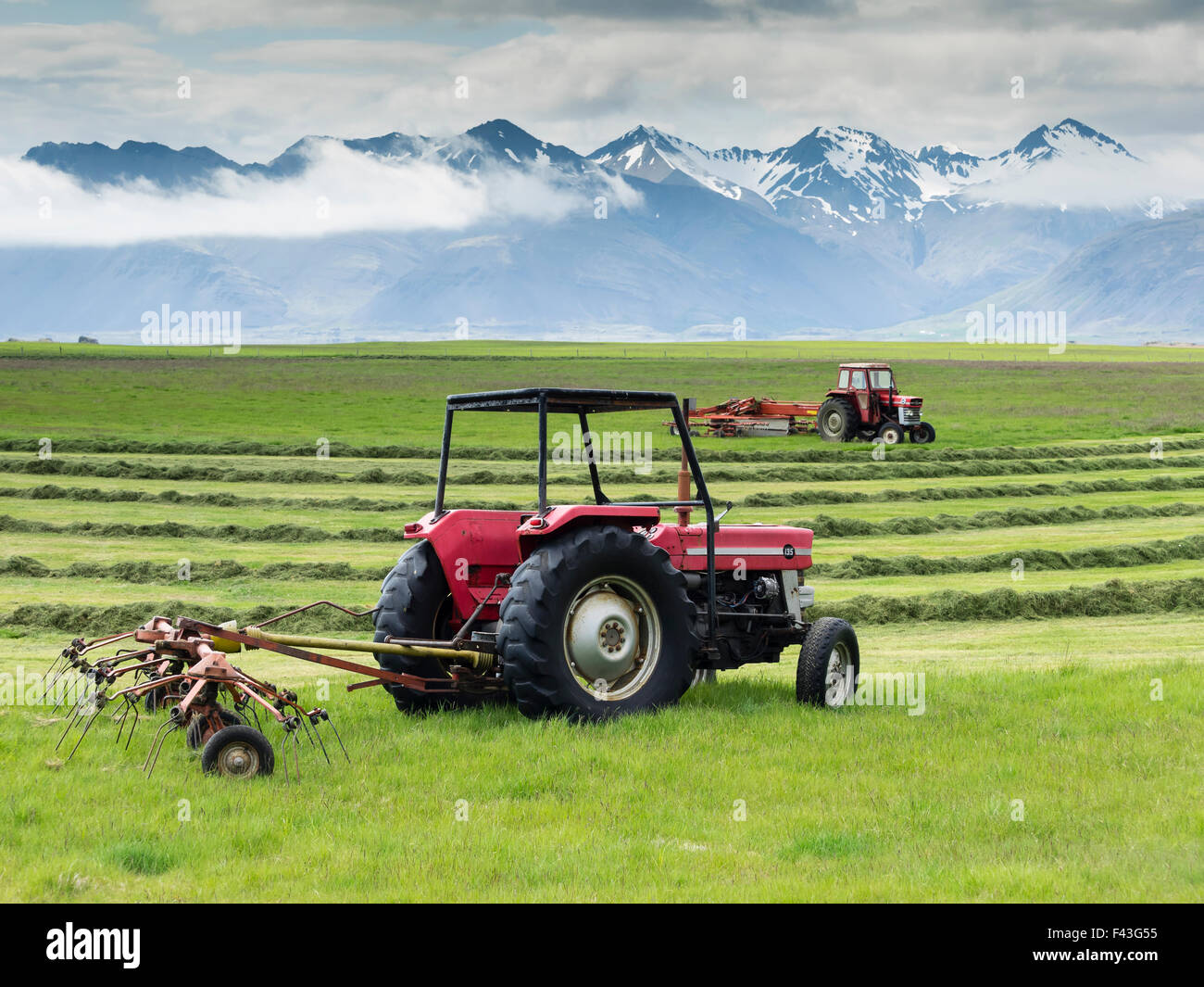 Due trattori rossi in una fattoria, lavorando in un campo il taglio di un raccolto di erba. Foto Stock