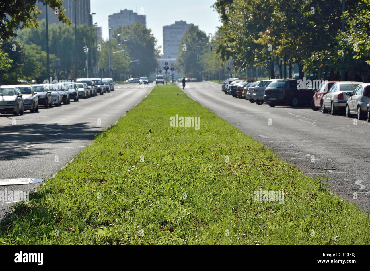 Strada di città senza traffico e di automobili parcheggiate, alberi e spazio di erba la divisione di due linee di strada di direzioni opposte Foto Stock