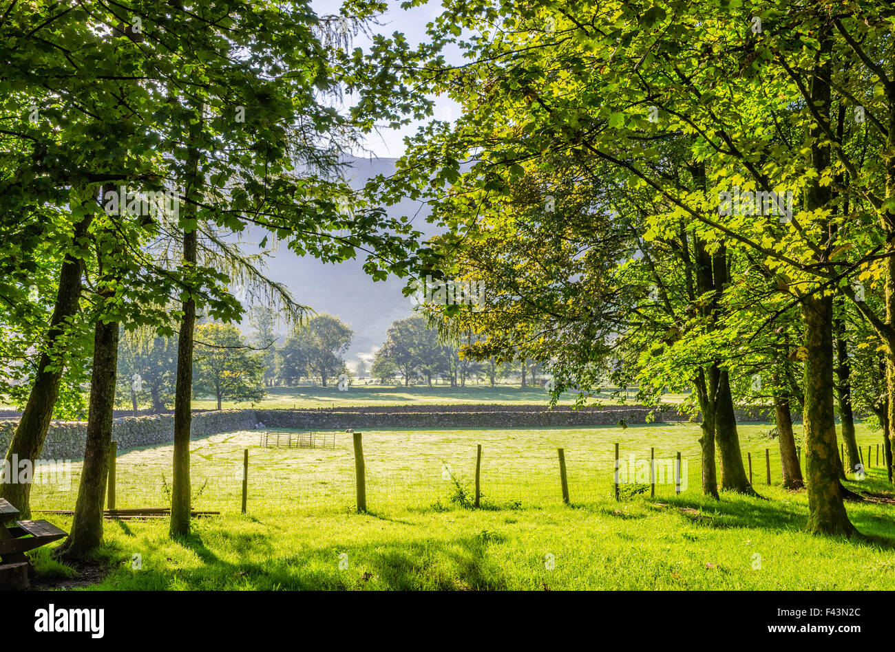 Backlit rurale scena inglese Foto Stock