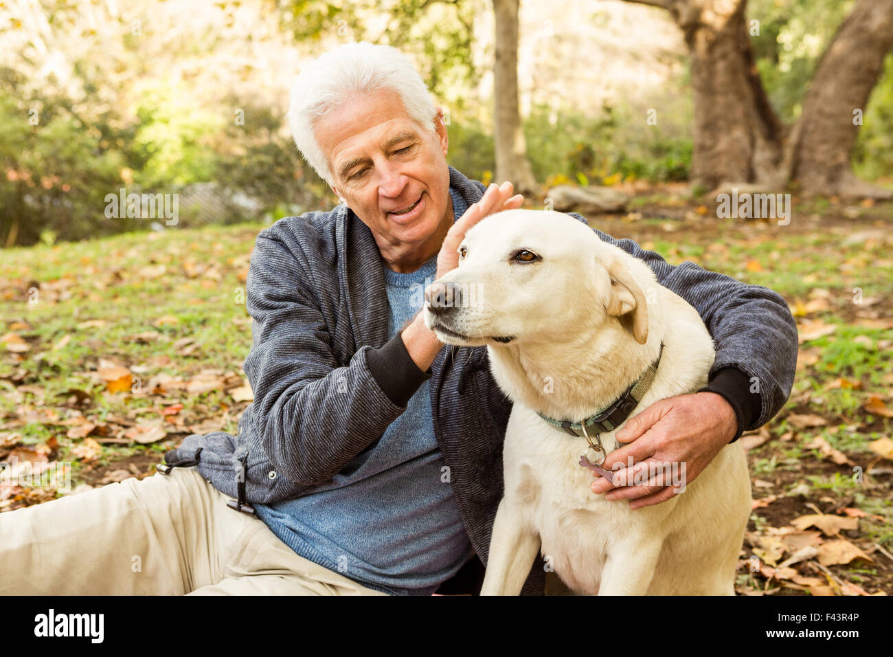 Senior l uomo con il suo cane in posizione di parcheggio Foto Stock