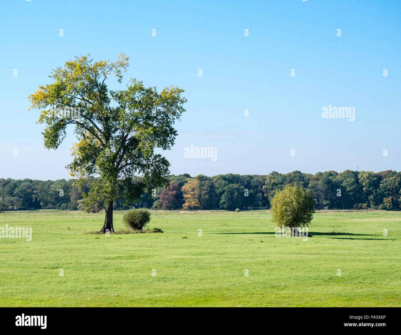 Elba ciclabile, sponda est del fiume Elba, pianura alluvionale tra Dömitz e Havelberg, Brandeburgo, Germania, Europa Foto Stock