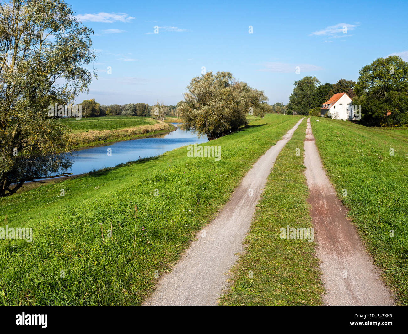 Elba ciclabile, sponda est del fiume Elba, pianura alluvionale tra Dömitz e Havelberg, Brandeburgo, Germania, Europa Foto Stock