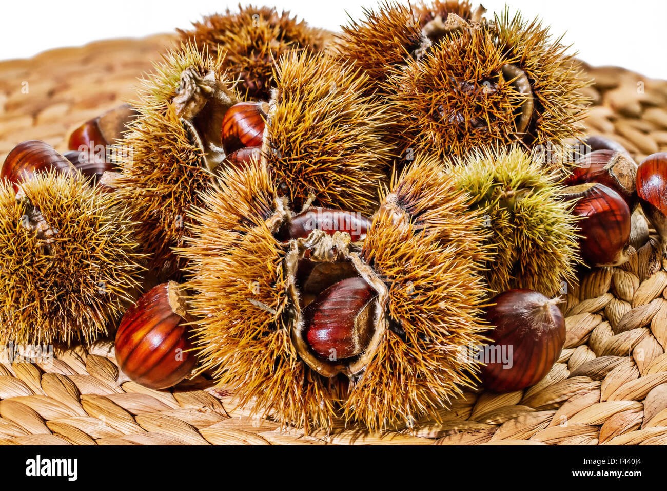Autunno / caduta cibo crudo: castagne Foto Stock