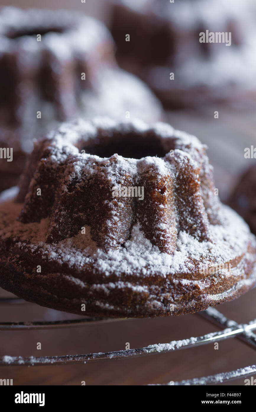 Cioccolato Bundt mini torta sulla griglia per dolci Foto Stock