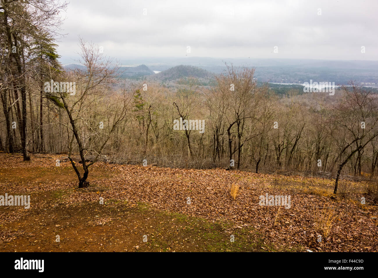 Uwharrie Mountain Range in Carolina del nord Foto Stock