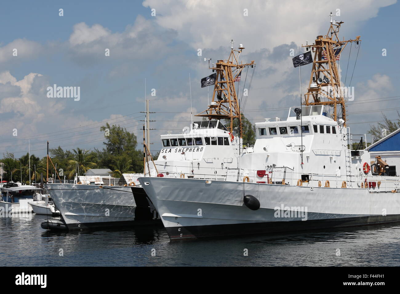 Sea Shepherd Conservation Society la ricerca barche ormeggiate a Stock Island in Florida Keys Foto Stock