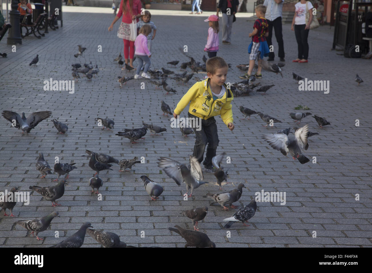 I bambini giocano con i piccioni in città vecchia piazza di Zielona Gora, Polonia. Foto Stock
