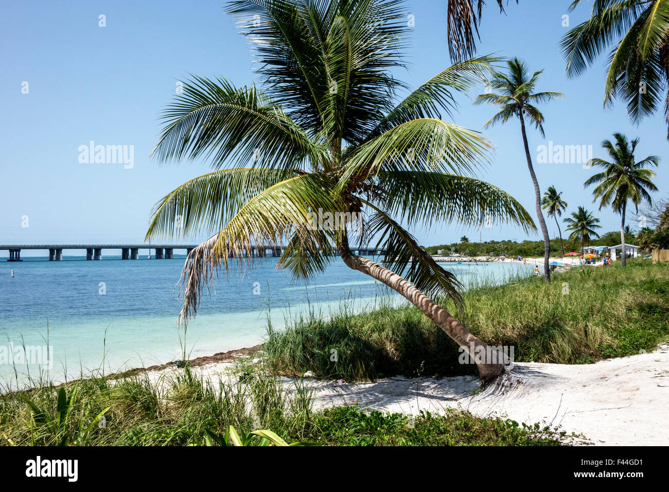 Florida Keys, autostrada Route 1 Overseas Highway, Bahia Honda state Park, Key, spiaggia, Golfo del Messico, palme, FL150510032 Foto Stock