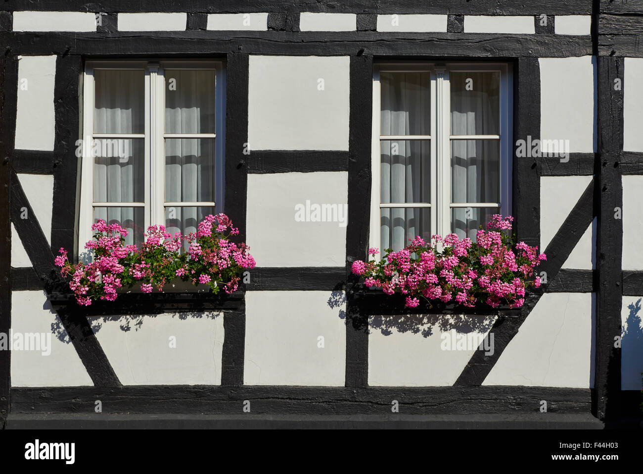 Windows tipica di metà-Timber house a Nideggen, Renania settentrionale-Vestfalia, Germania, Europa Foto Stock