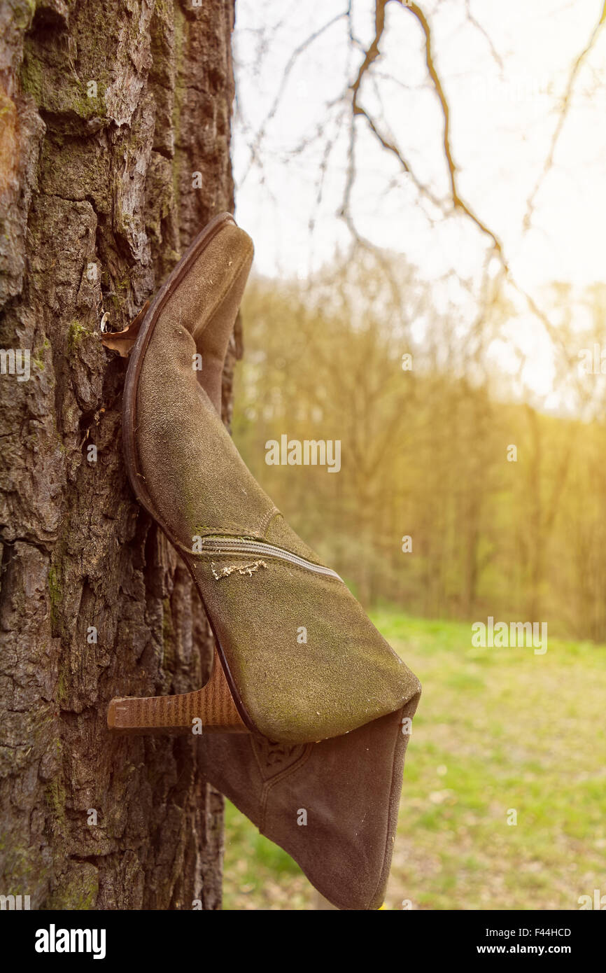Una sola donna stivali sul tronco di albero Foto Stock