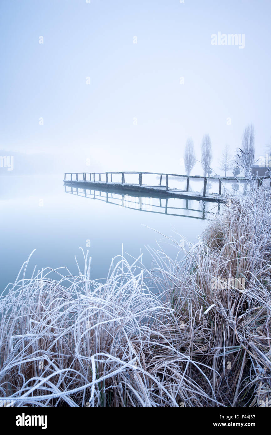 Coperto di brina pier e piante da un lago Foto Stock