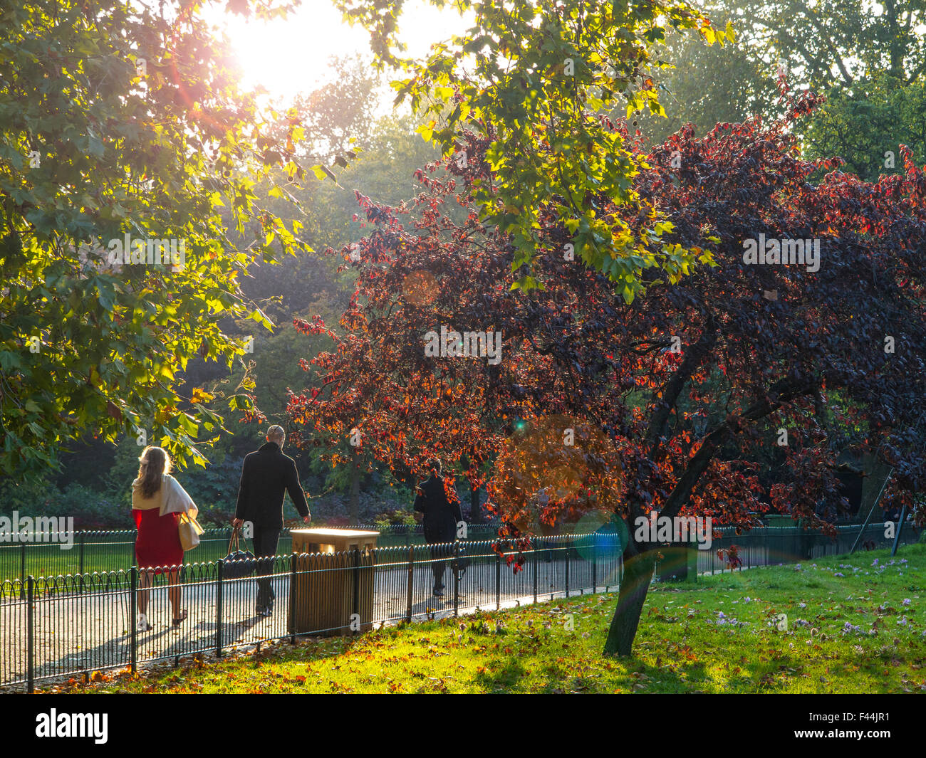 Ombre lunghe in autunno a St James Park nel centro di Londra Foto Stock