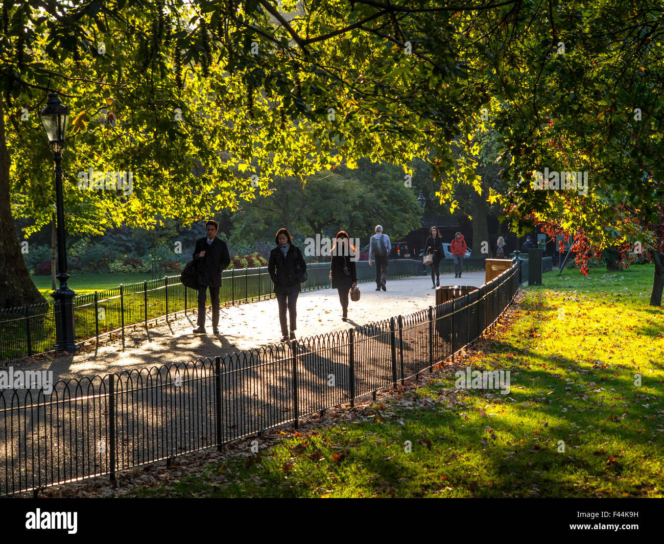 Ombre lunghe in autunno a St James Park nel centro di Londra Foto Stock