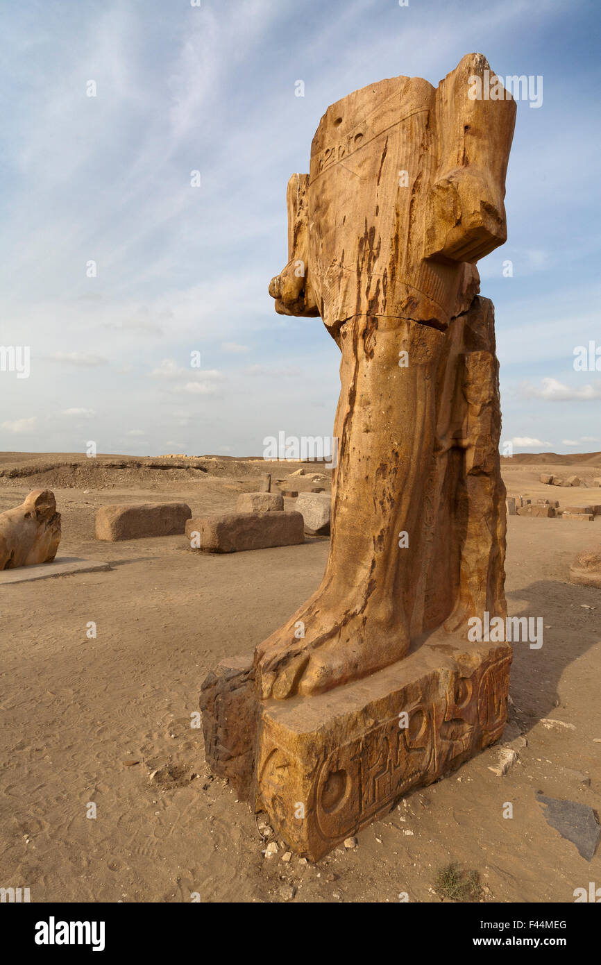 Statua in corrispondenza del sito di Tanis, San el-Hagar nel nord orientale del delta del Nilo di Egitto Foto Stock