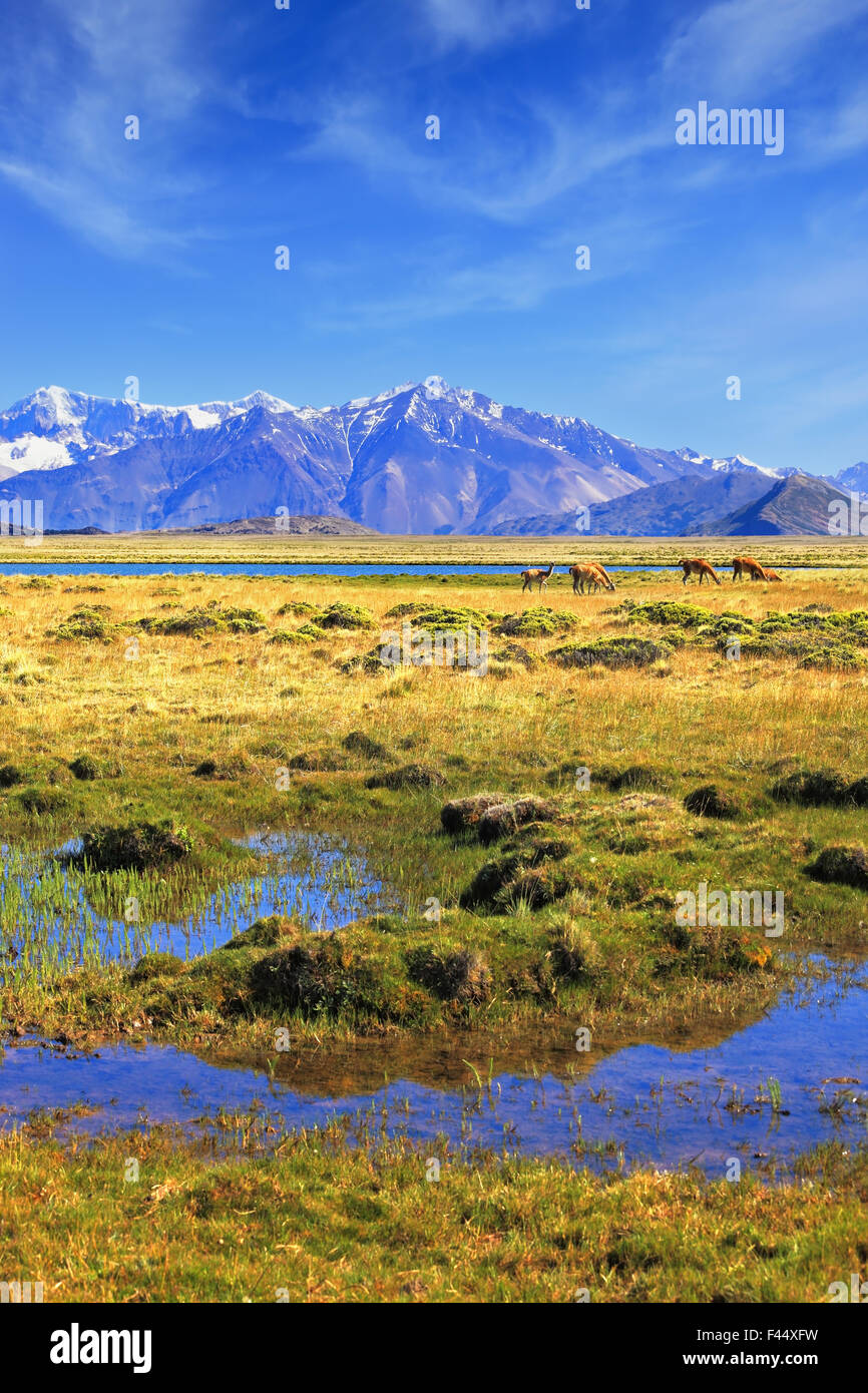 Il Parco Nazionale della Valle Perito Moreno Foto Stock