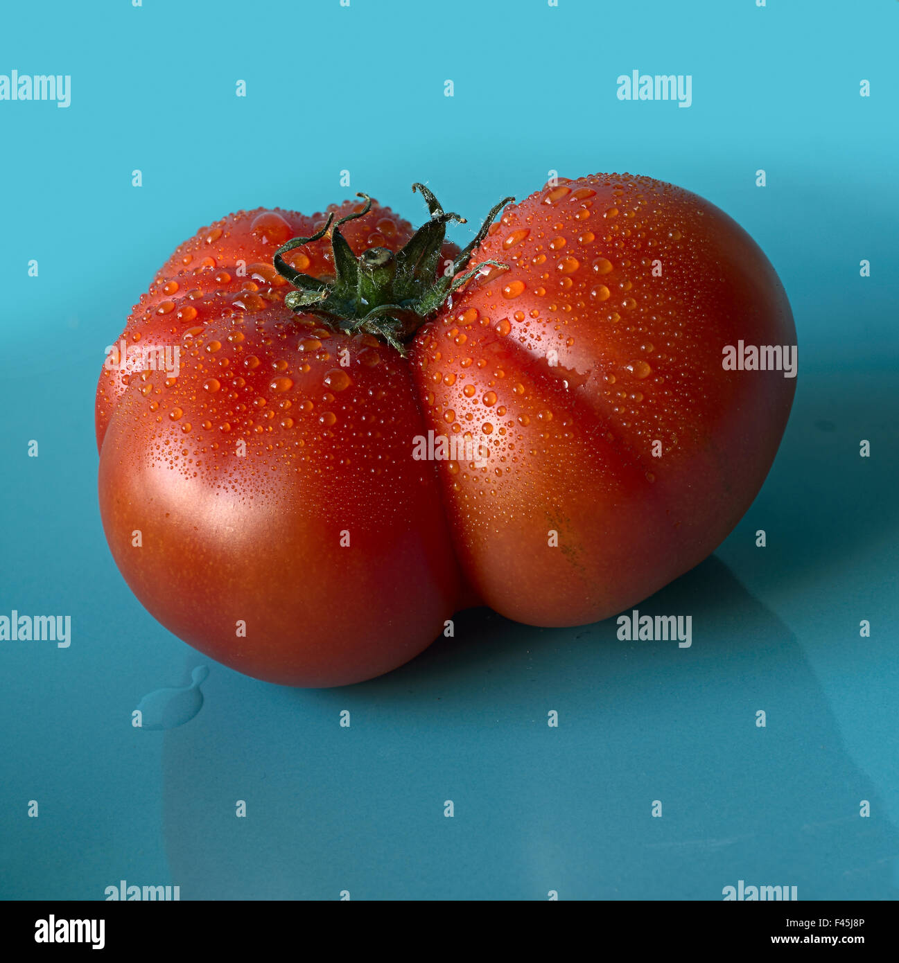 Un pomodoro manzo Foto Stock