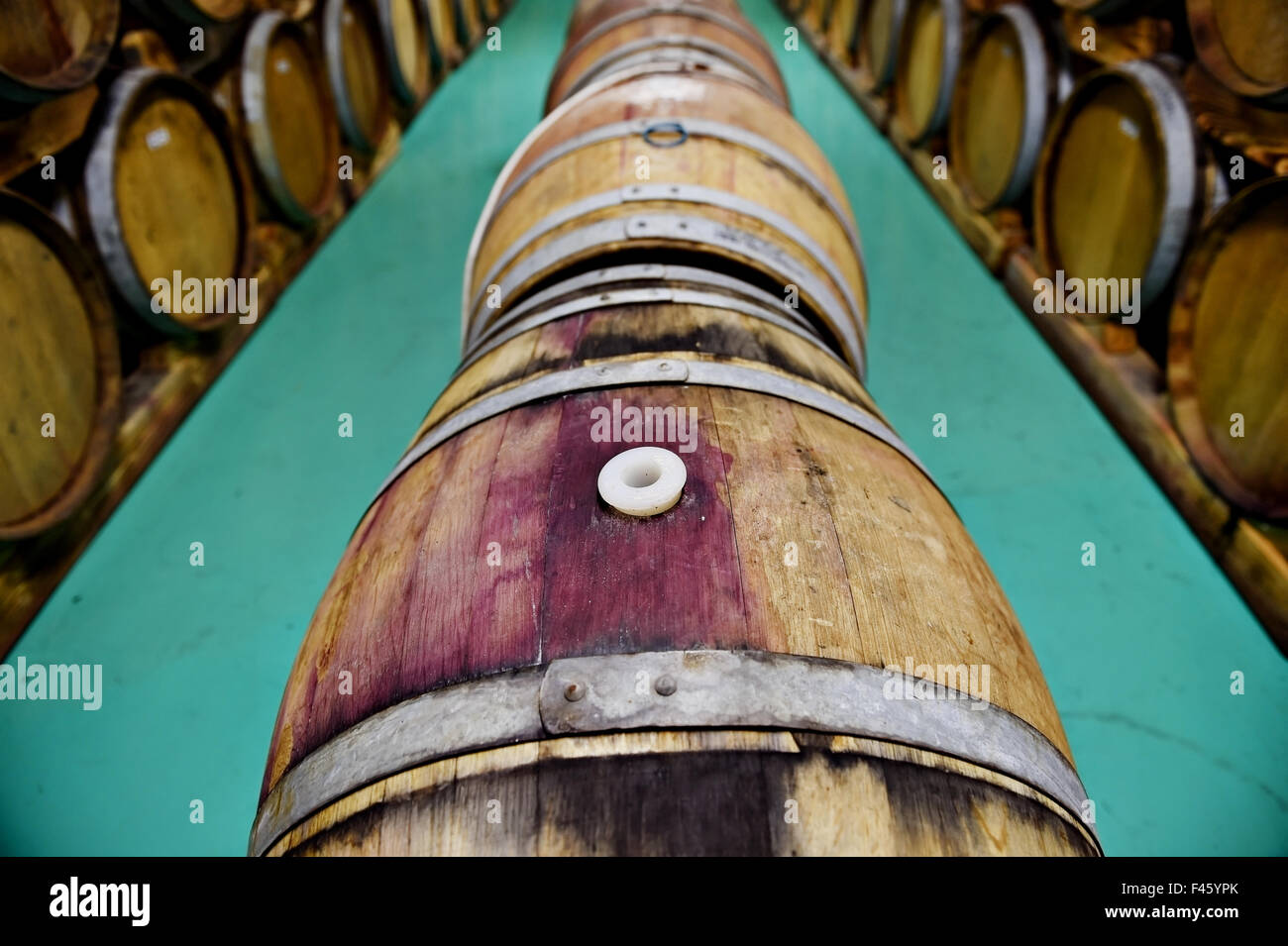 L'industria dettaglio con vari in legno barili di vino in una cantina di vini Foto Stock