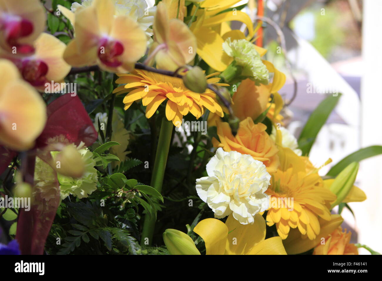 Bella composizione floreale Foto Stock