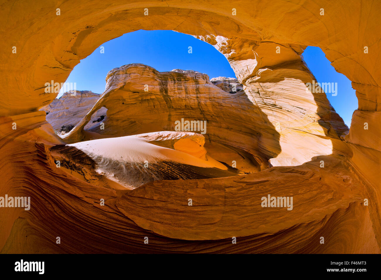 Il vento e la sabbia di soffiaggio presenta, nel corso di milioni di anni, scolpiti incredibile moduli al di fuori del sud-ovest di arenaria, come ad esempio questa alcova e il doppio arco. Vermilion Cliffs, Arizona, Stati Uniti d'America Foto Stock