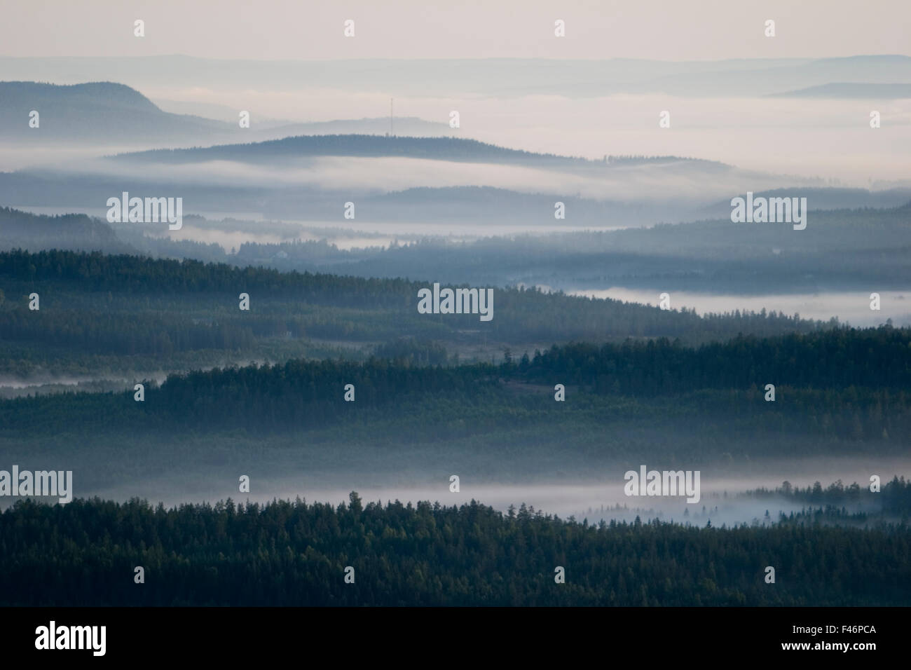 Bosco e Acqua Paesaggio, Vista aerea, Svezia. Foto Stock