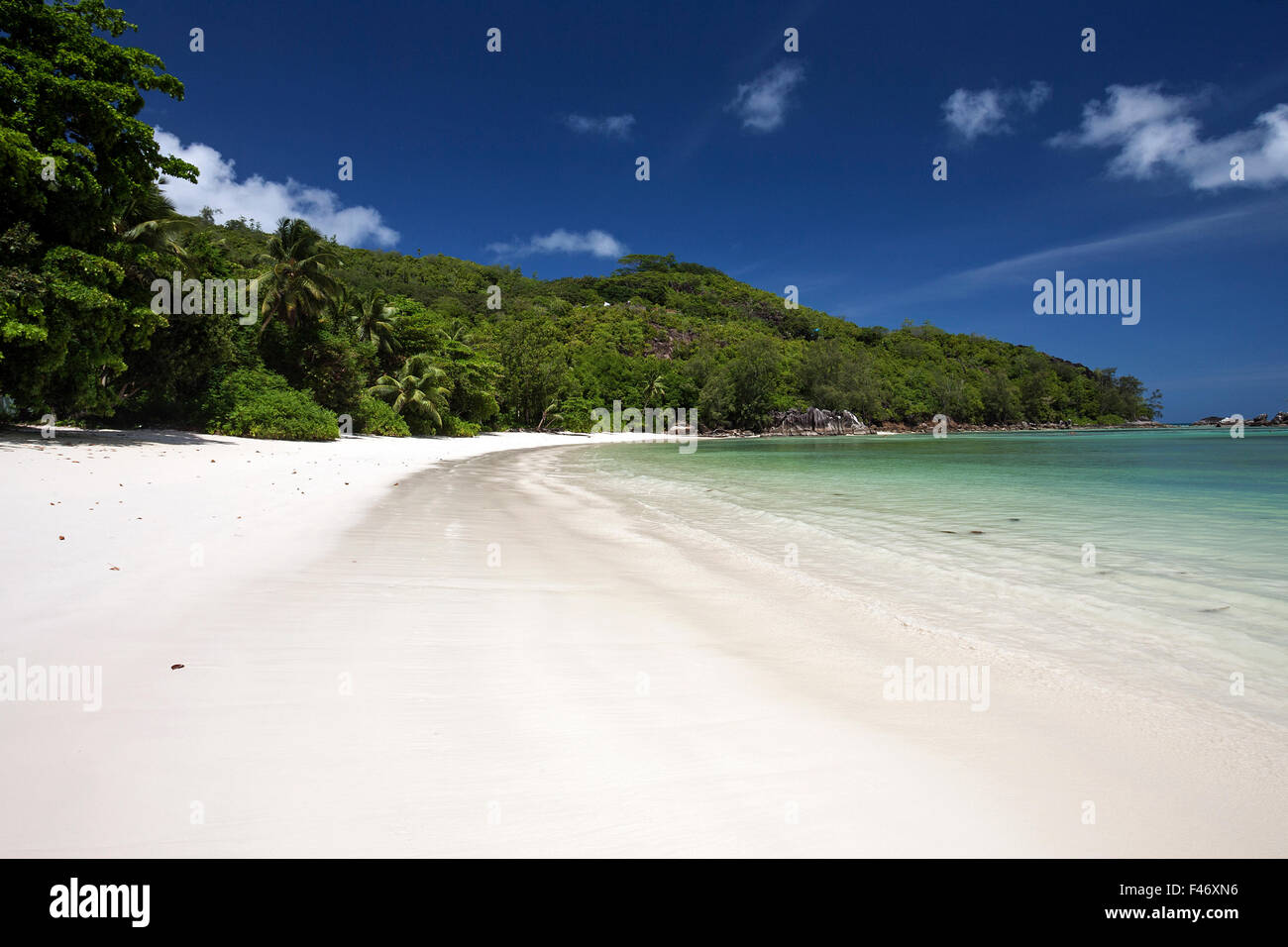 Spettacolare spiaggia di sabbia bianca con palme, Port Launay Marine National Park, l'Isola di Mahe, Seicelle Foto Stock