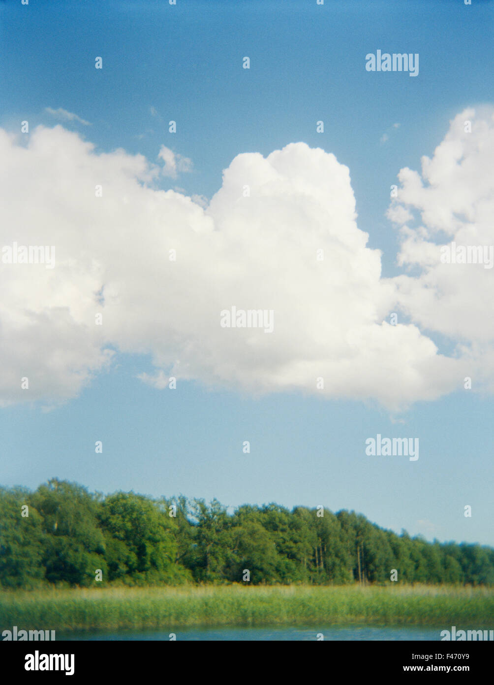 Nuvole bianche sul cielo blu su una foresta lago, Svezia. Foto Stock