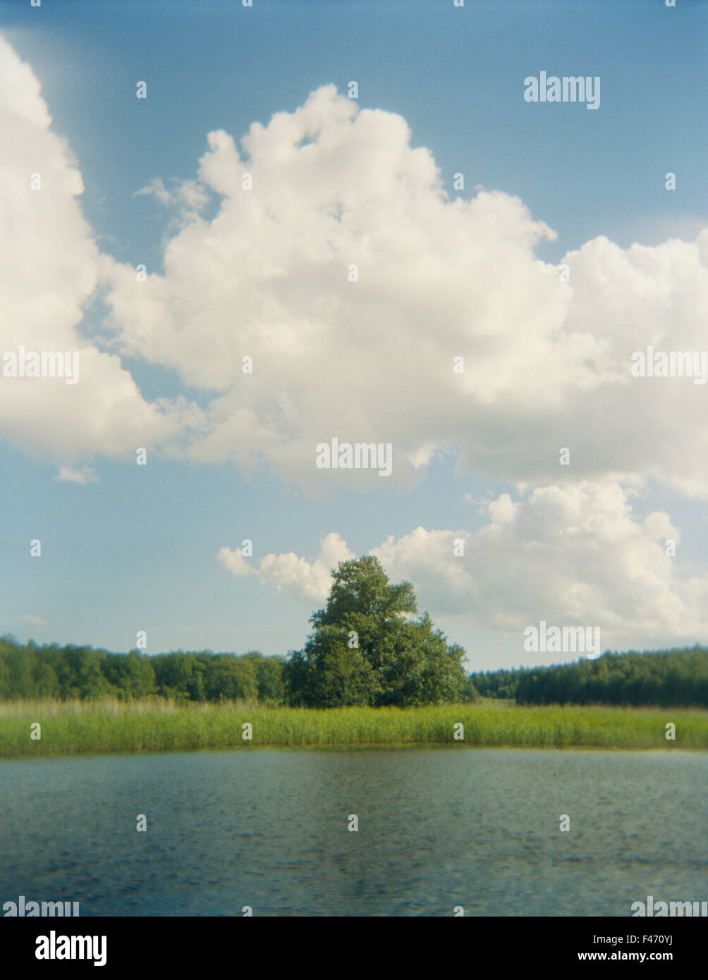 Nuvole bianche sul cielo blu su una foresta lago, Svezia. Foto Stock