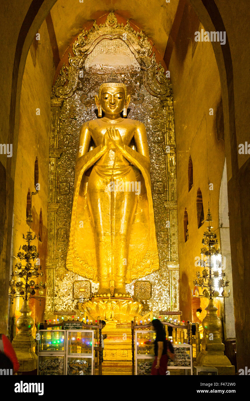 Gigante Buddha d'oro all'interno Pahto Ananda, uno di Bagan's 4000 templi, Bagan, Myanmar Foto Stock