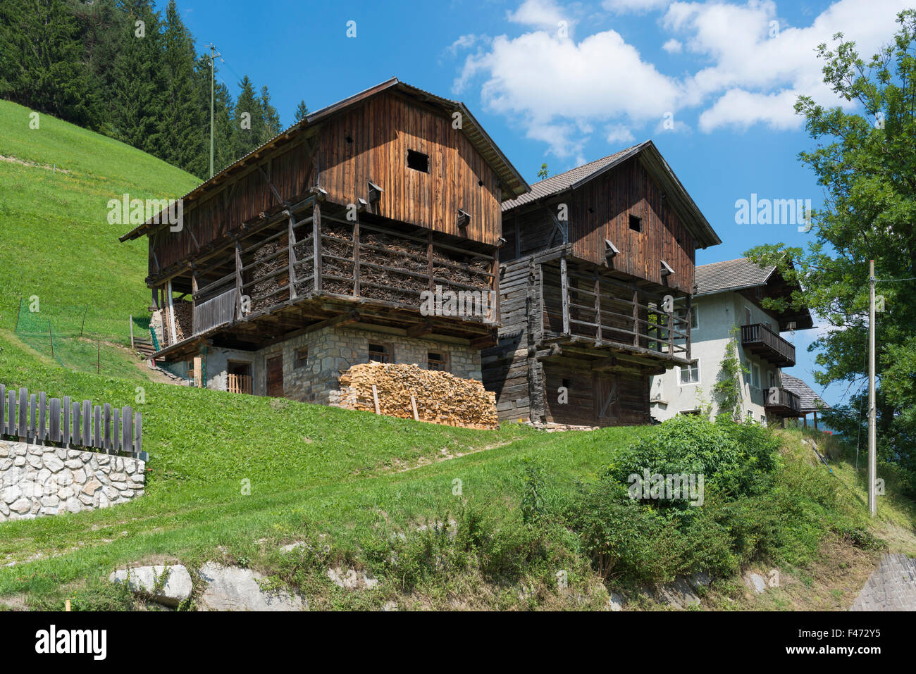 Il ladino tradizionali edifici di fattoria con fienile e granaio, Campilltal, San Martino in Badia, Dolomiti, Alto Adige Provincia di Foto Stock