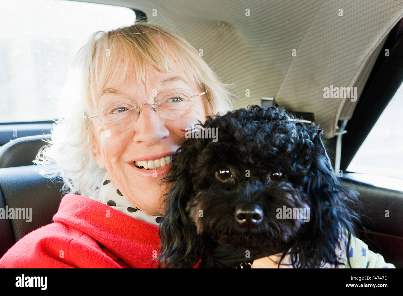 Una donna e un cane in auto, Germania. Foto Stock