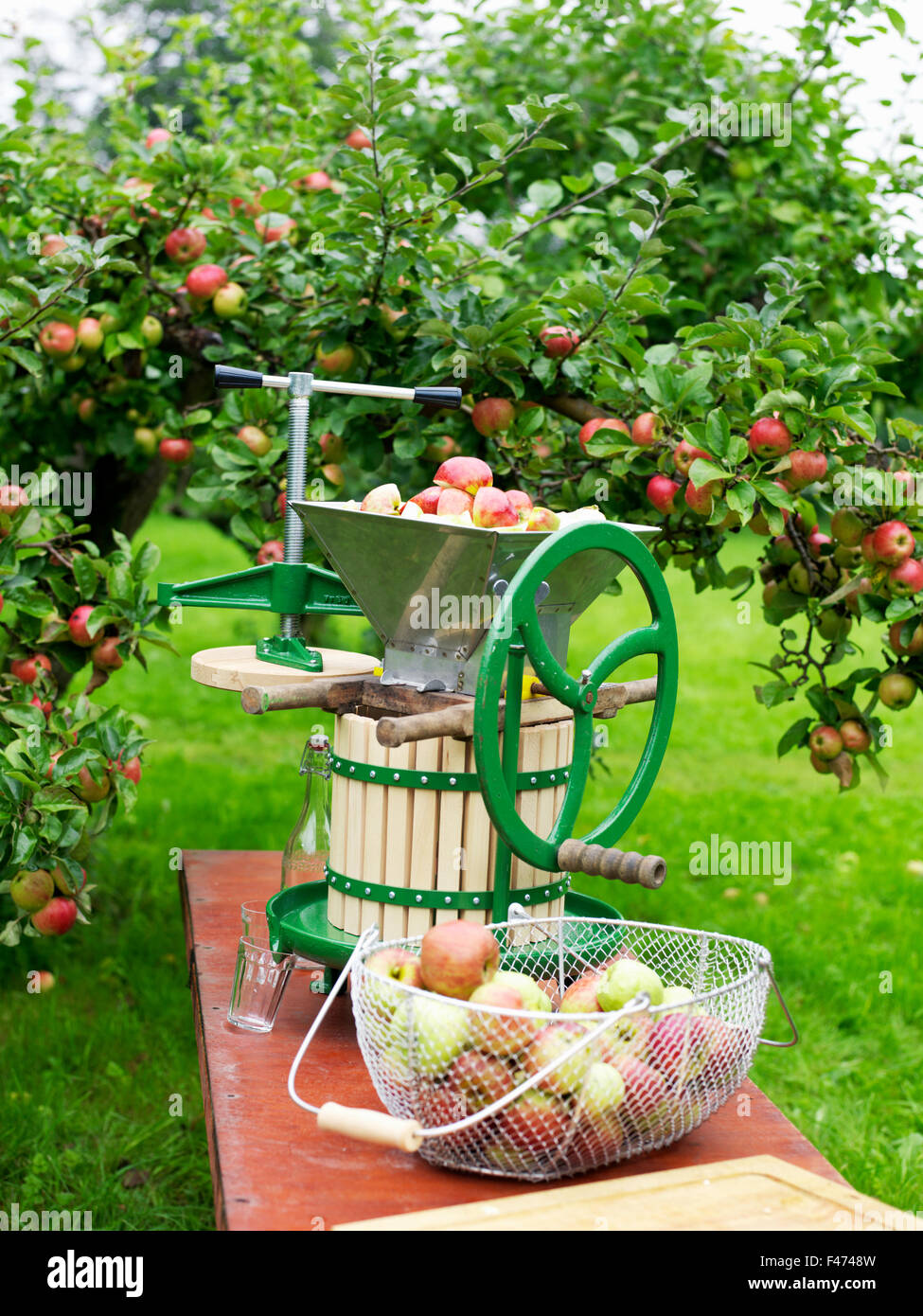 Produzione di sidro di mela. Foto Stock