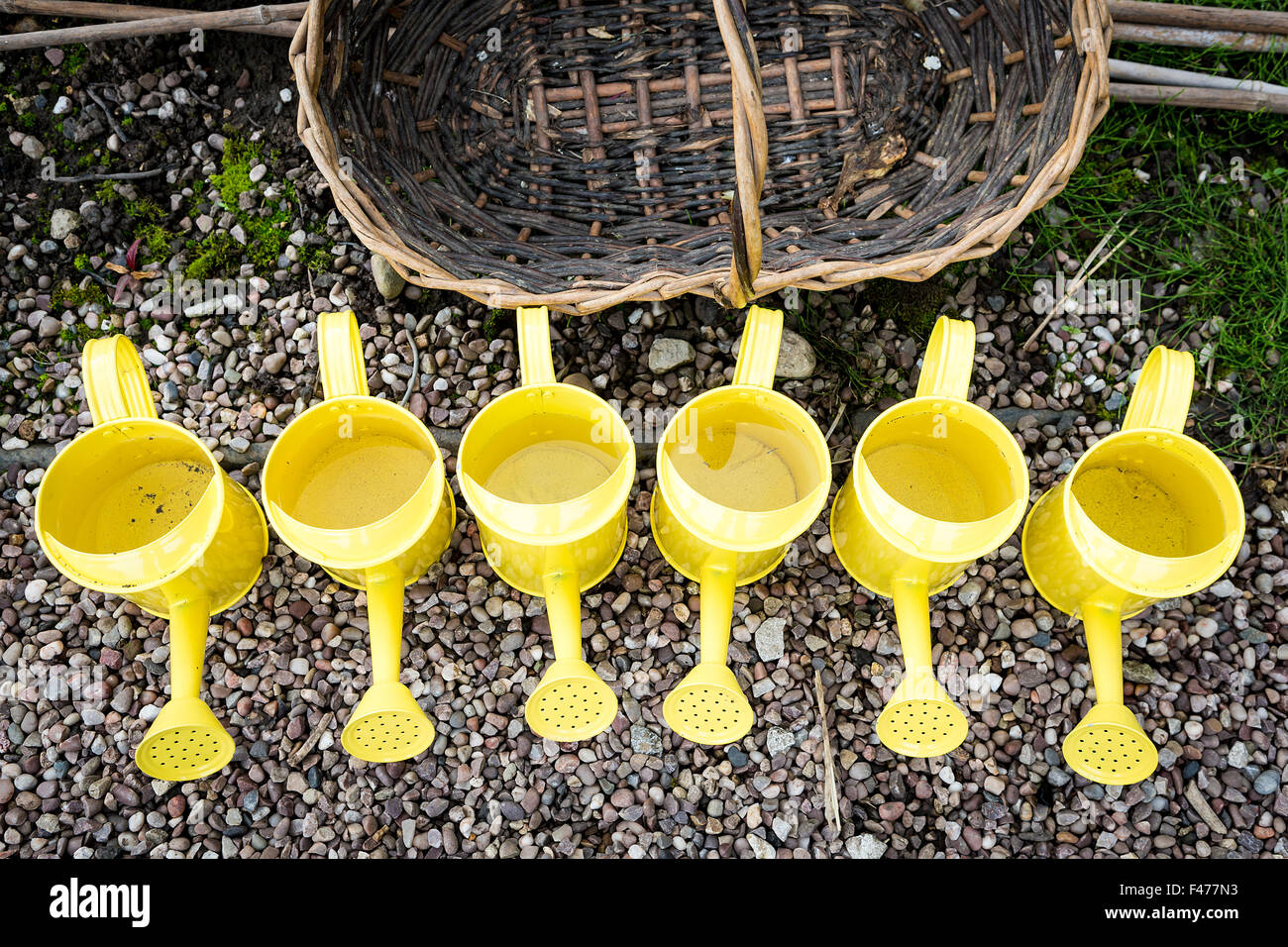 Fila di giallo childrens' innaffiatoi accanto ad alcune canne e vimini trug giardinaggio Foto Stock