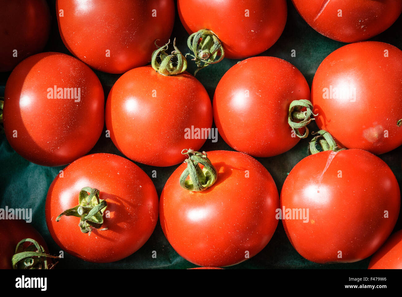 POMODORO Foto Stock