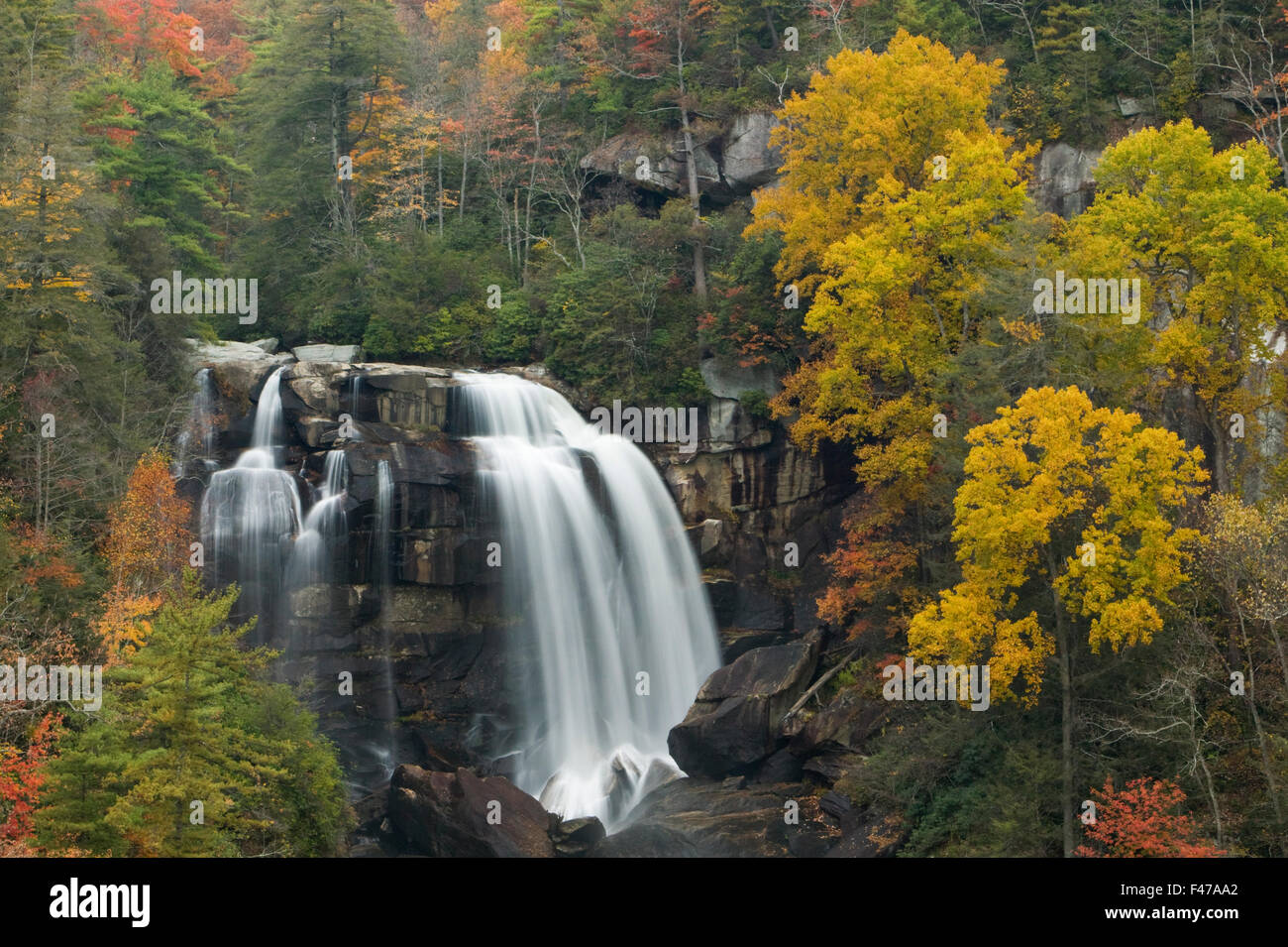 I colori autunnali, Whitewater Falls, North Carolina, Stati Uniti d'America. Foto Stock