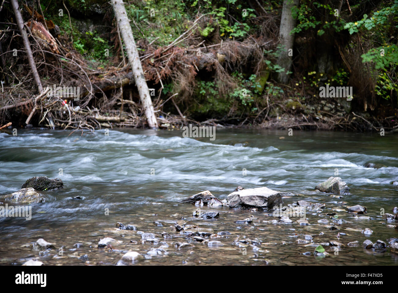 Flusso di fiume a Slovensky Raj Foto Stock