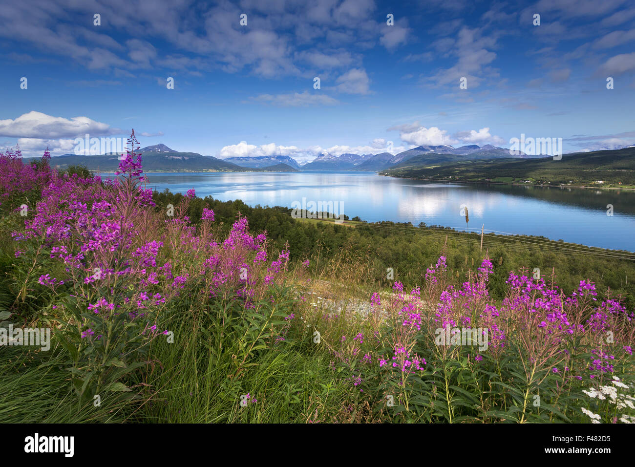 Bellissima vista del Nord Norvegia, Alpi Lyngen Foto Stock