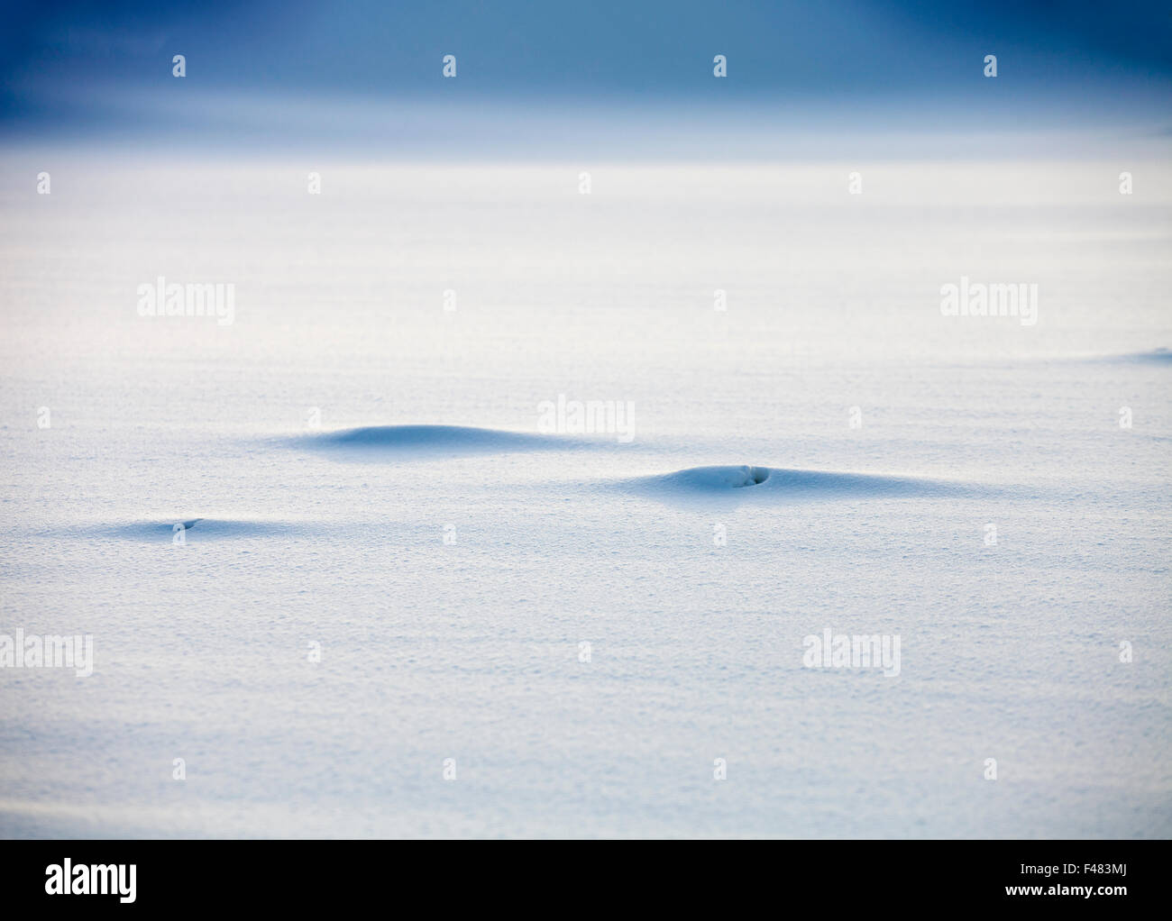 Liscia monocromatica neve sullo sfondo di texture Foto Stock