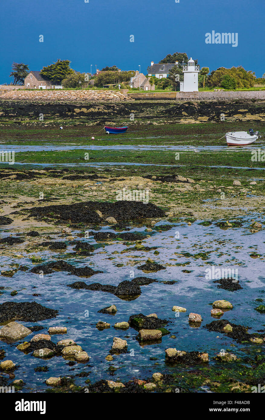 Francia, Normandia, Barfleur, vista del porto con la bassa marea Foto Stock