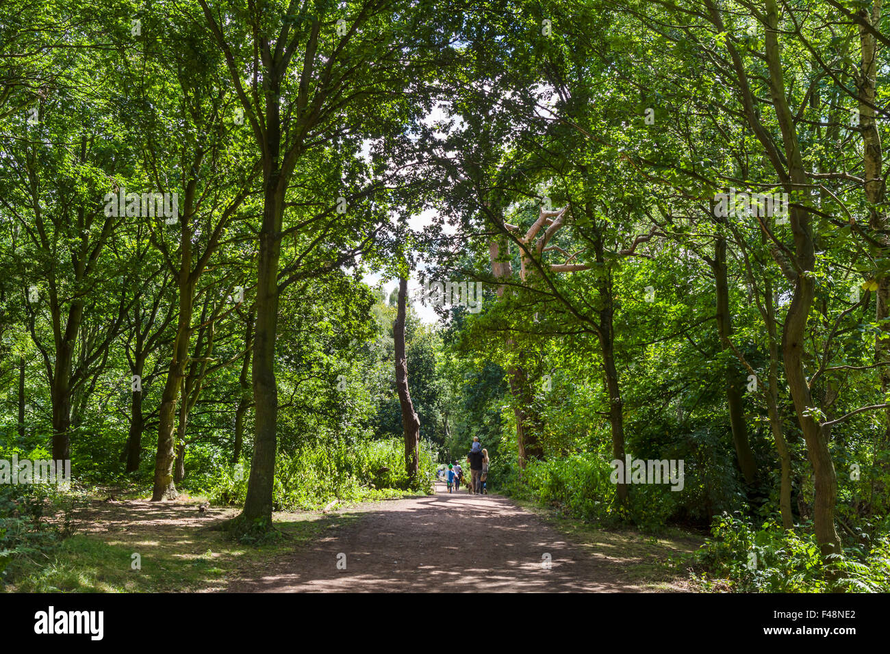 Famiglia a piedi su un sentiero nella foresta di Sherwood Country Park, vicino Edwinstowe Nottinghamshire, England, Regno Unito Foto Stock