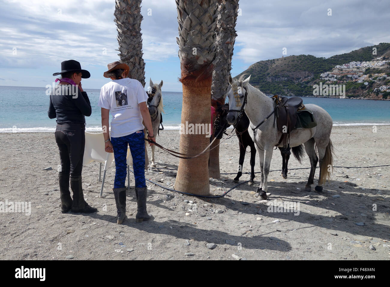Piloti del cavallino donna femmina con cavalli a La Herradura beach andaluso andalusia Costa Tropical Spagna meridionale Foto Stock
