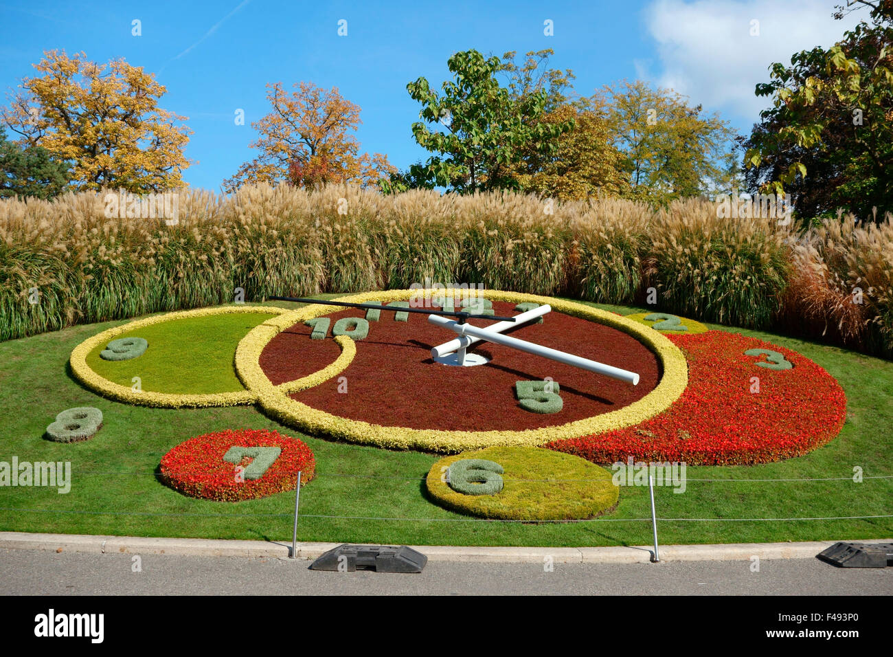 Orologio di fiori, Jardin Anglais (Giardino Inglese), Ginevra, Svizzera Foto Stock