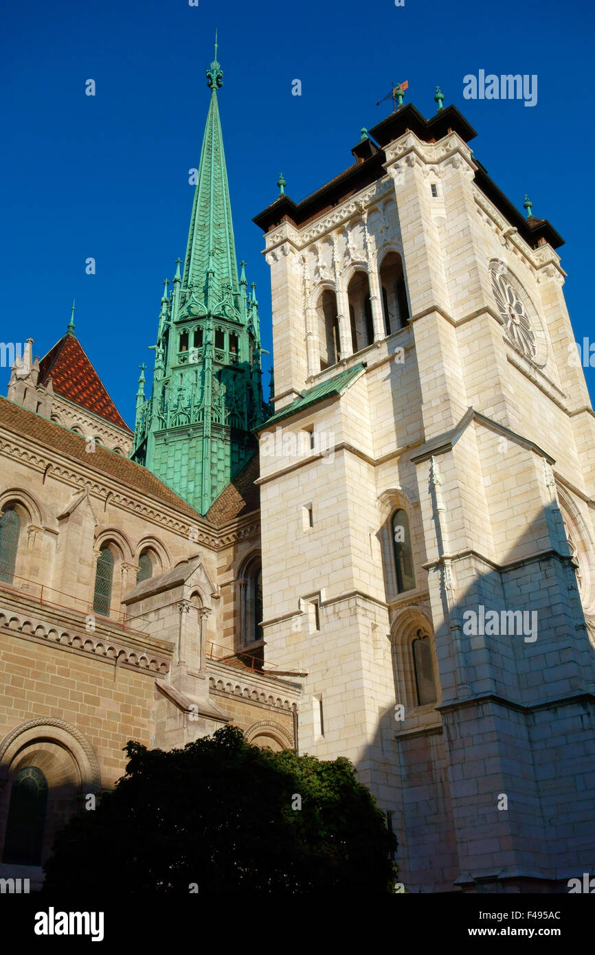 La Cattedrale di San Pietro (Cathédrale de St-Pierre), Ginevra, Svizzera Foto Stock