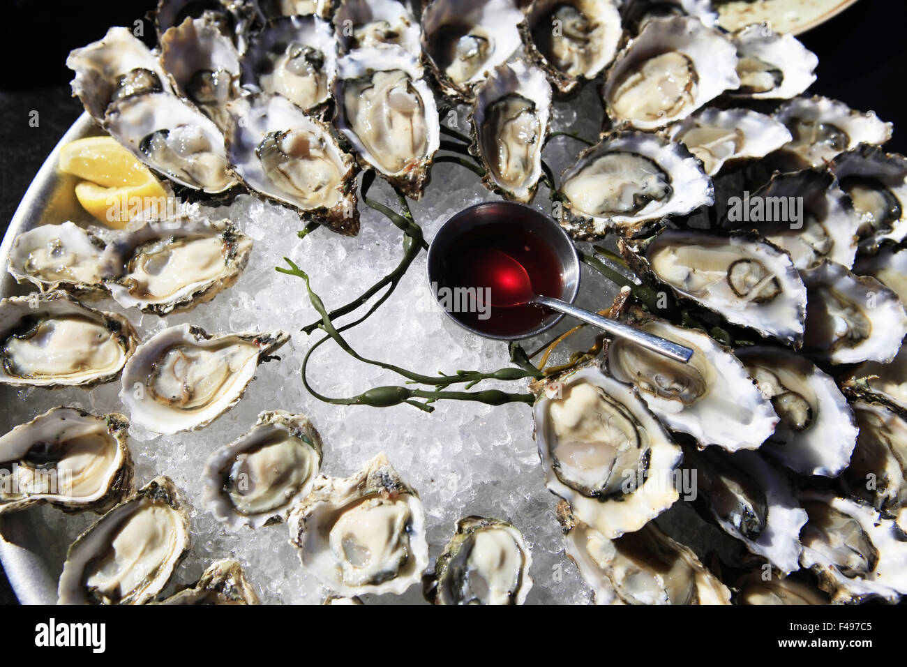 Ostrica aperta Foto Stock