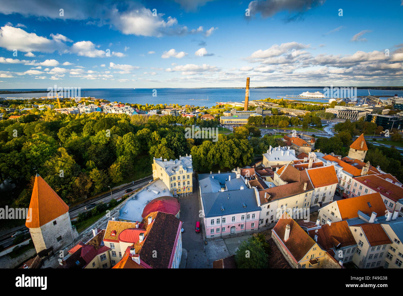 Vista sulla città vecchia e sul Mar Baltico da san dell'Olaf torre della chiesa, a Tallinn in Estonia. Foto Stock