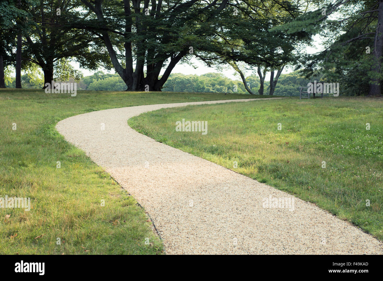 Percorso di pacifica in esecuzione attraverso park Foto Stock