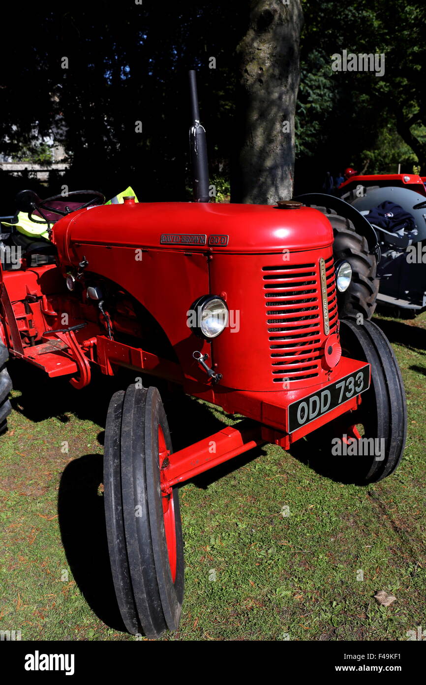 David Brown 30D trattore a Pontypridd Car Show in Ynysangharad War Memorial Park, Agosto 2015 Foto Stock