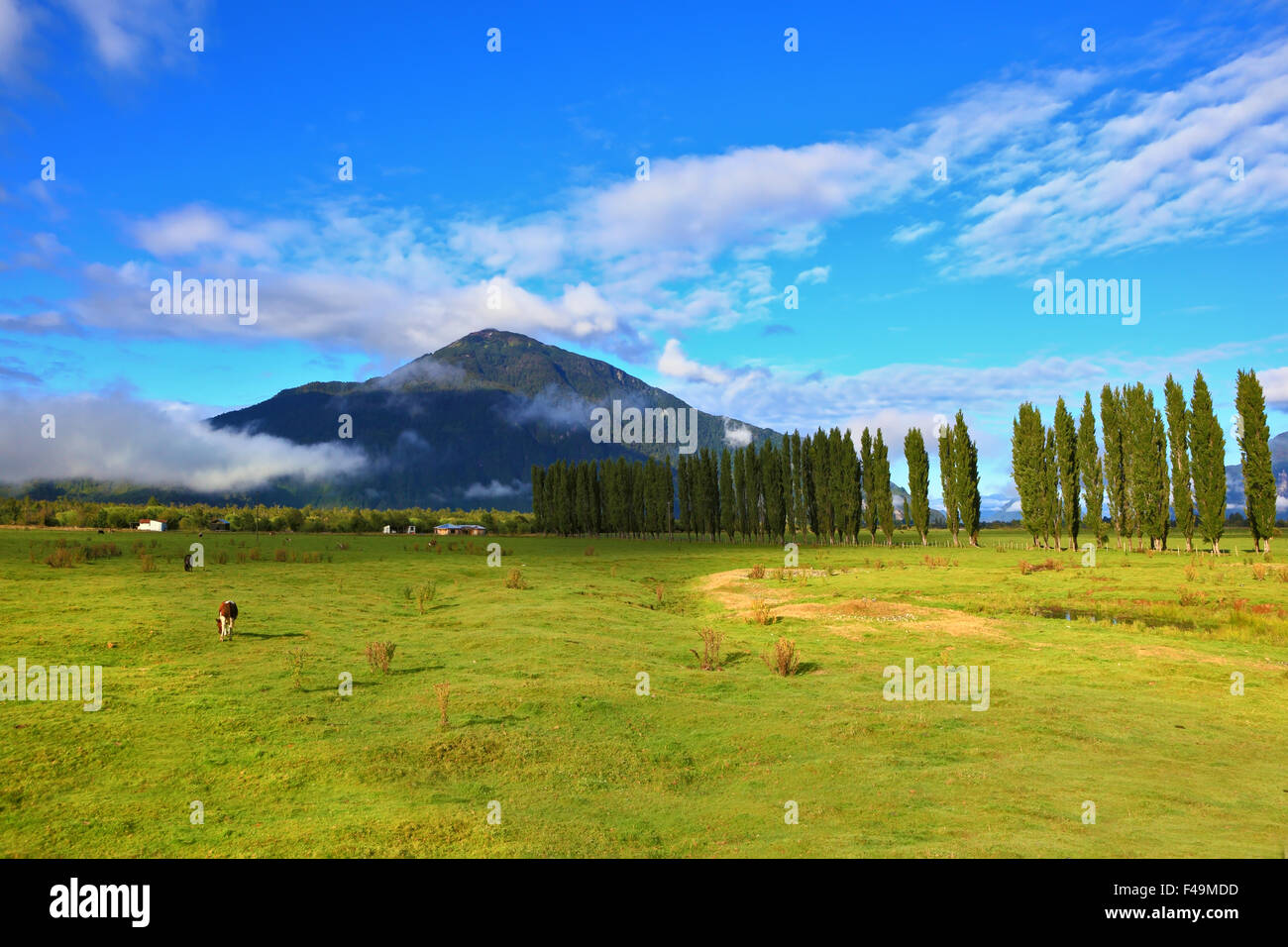 Campagna nella Patagonia cilena Foto Stock