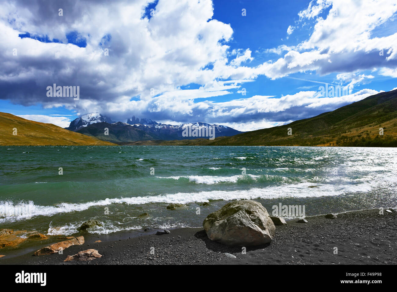 Nella Patagonia Cilena gale Foto Stock