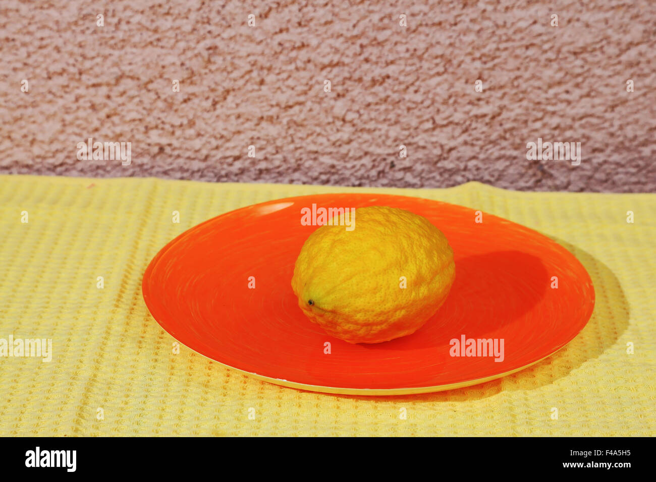 La festa di Sukkot Foto Stock