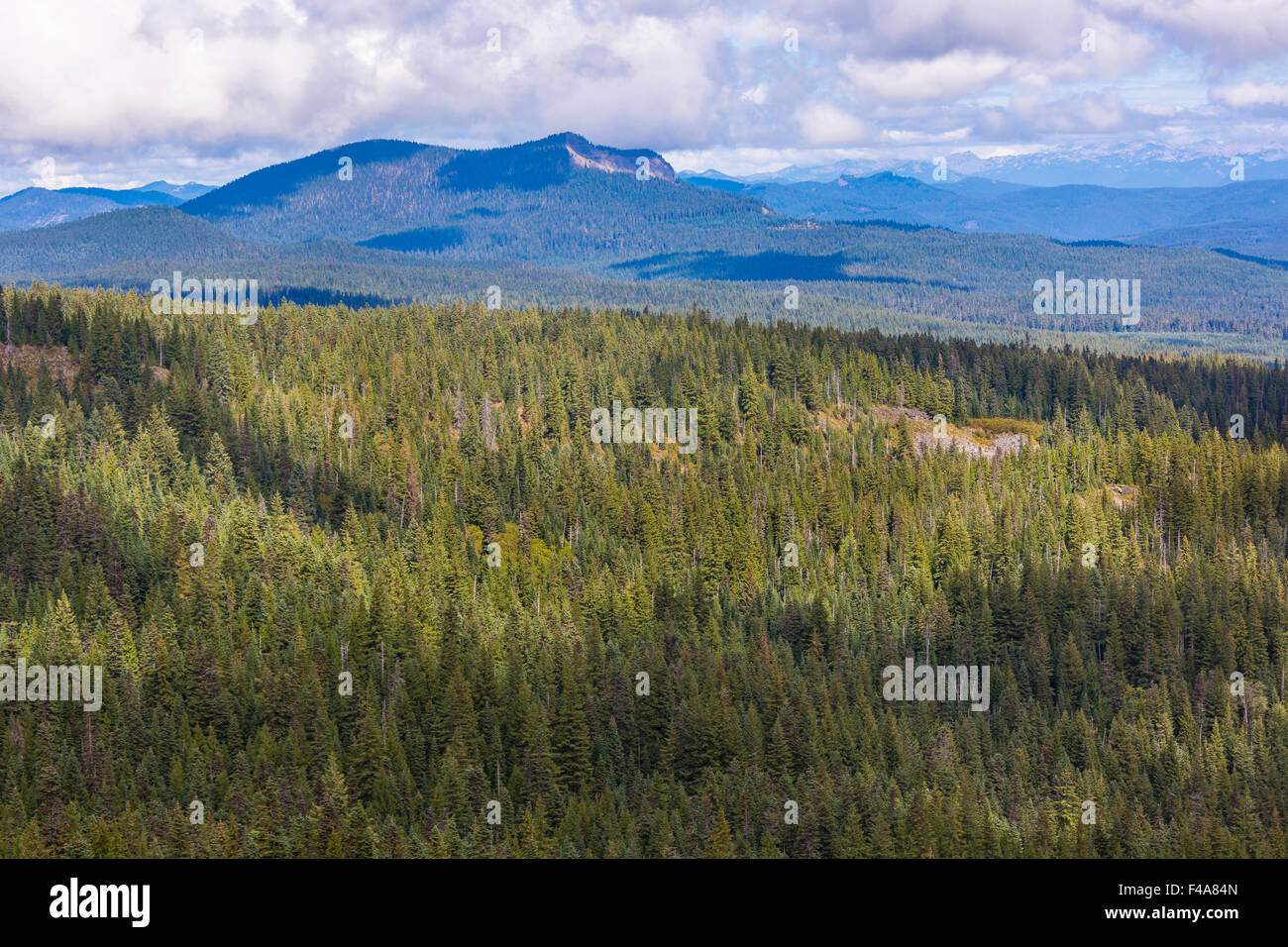 GIFFORD PINCHOT NATIONAL FOREST, WASHINGTON, STATI UNITI D'AMERICA - Indiano cielo deserto. Foto Stock